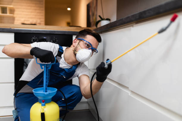 Best Wildlife Control Services  in Alamo, TX